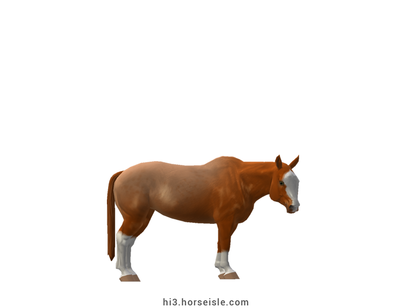 Cow-pony Omby Strawberry Roan Coat